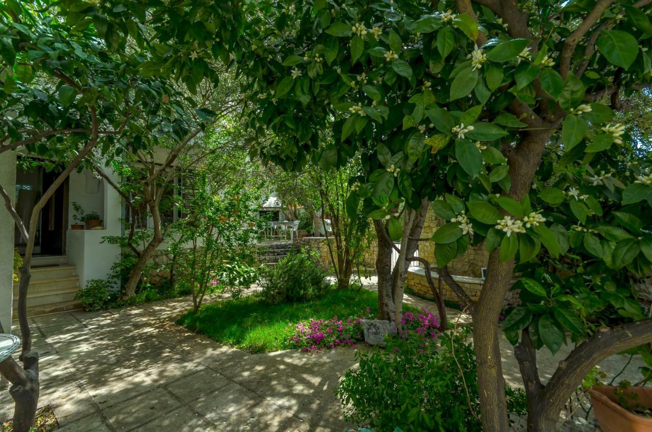 Apartment Dory تروغير المظهر الخارجي الصورة